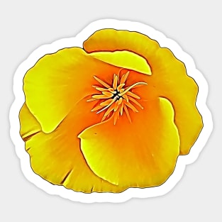 California State Flower Golden Poppy Eschscholtzia Californica Pattern Sticker